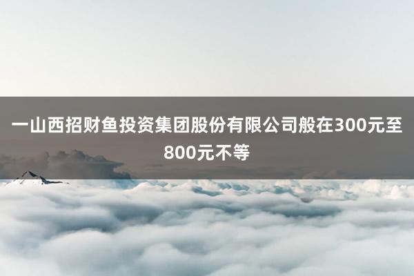一山西招财鱼投资集团股份有限公司般在300元至800元不等